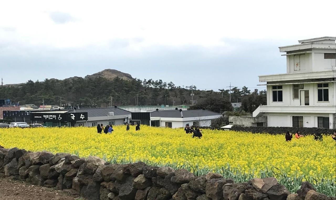 济州摹瑟普酒店 西归浦市 外观 照片